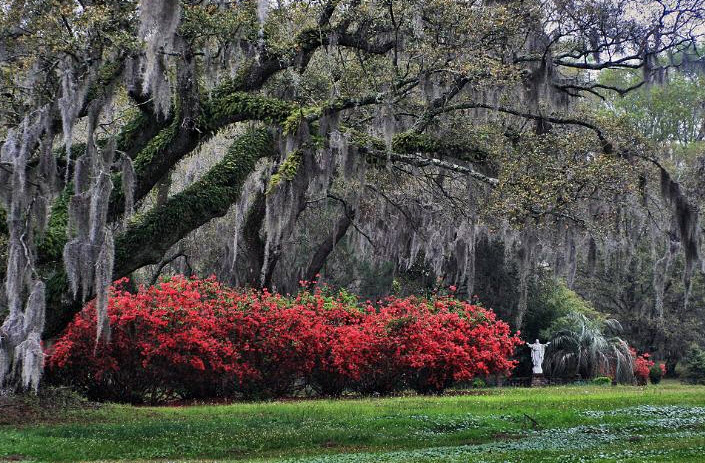 Luce Gardens at Mepkin Abbey, United States